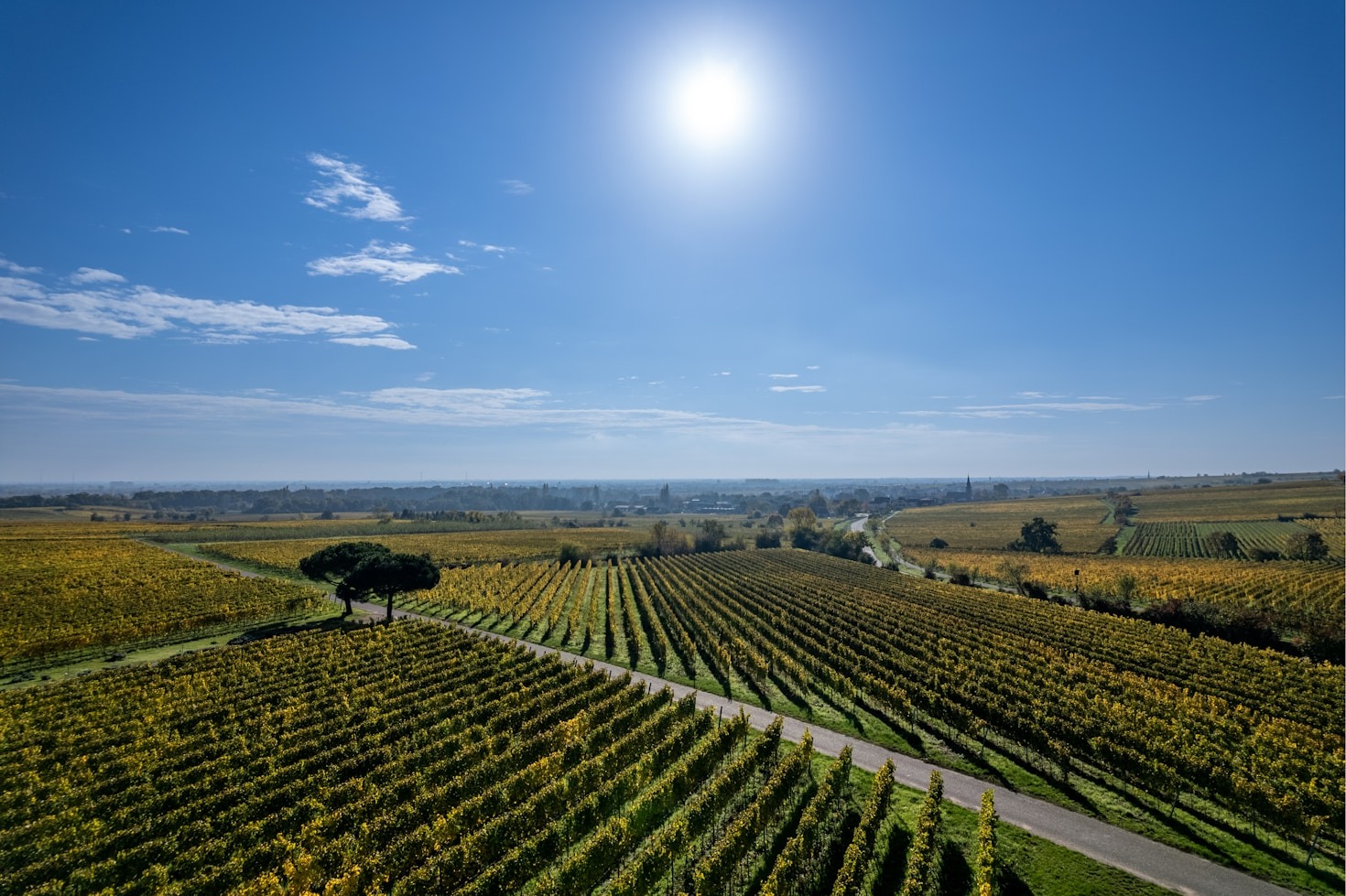 Ferramentas Sustentáveis para um Futuro Promissor no Agro